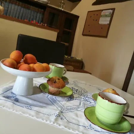 Loft La Civetta Apartment Castiglion Fiorentino